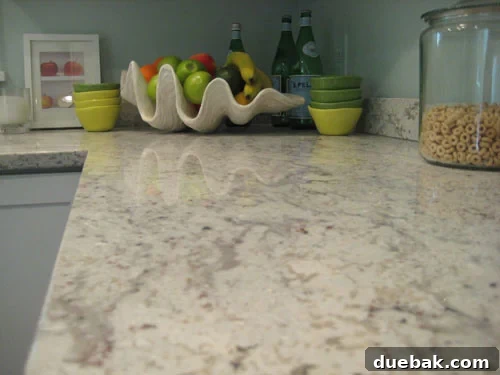 Your Fabulous Freebie From Our Home 2 Large Atlantis Clam Shell used as a fruit bowl