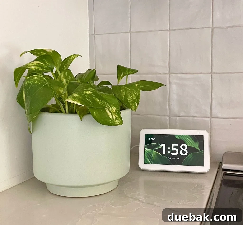 Amazon Echo Show 5 With Tropical Plant Clock Screensaver