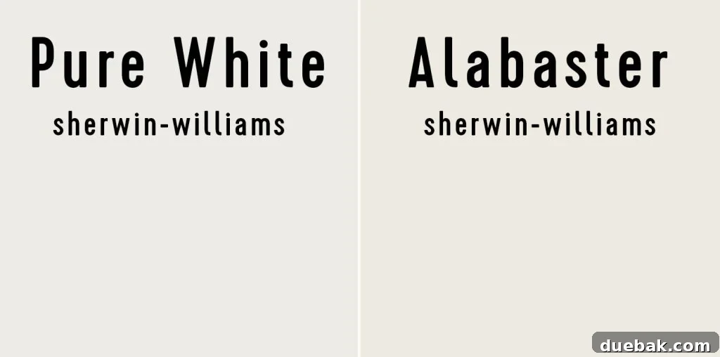 Sherwin Williams Pure White SW 7005 The Ultimate Whole House White 14 Side-by-side comparison of Sherwin-Williams Pure White and Sherwin-Williams Alabaster.