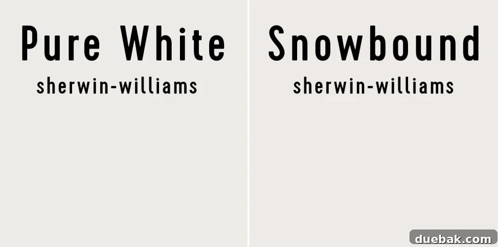 Sherwin Williams Pure White SW 7005 The Ultimate Whole House White 16 Side-by-side comparison of Sherwin-Williams Pure White and Snowbound.