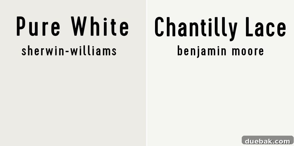 Sherwin Williams Pure White SW 7005 The Ultimate Whole House White 18 Side-by-side comparison of Sherwin-Williams Pure White and Benjamin Moore Chantilly Lace.