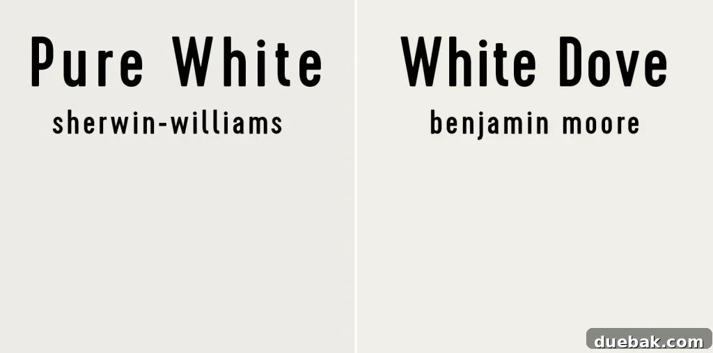 Sherwin Williams Pure White SW 7005 The Ultimate Whole House White 19 Side-by-side comparison of Sherwin-Williams Pure White and Benjamin Moore White Dove.