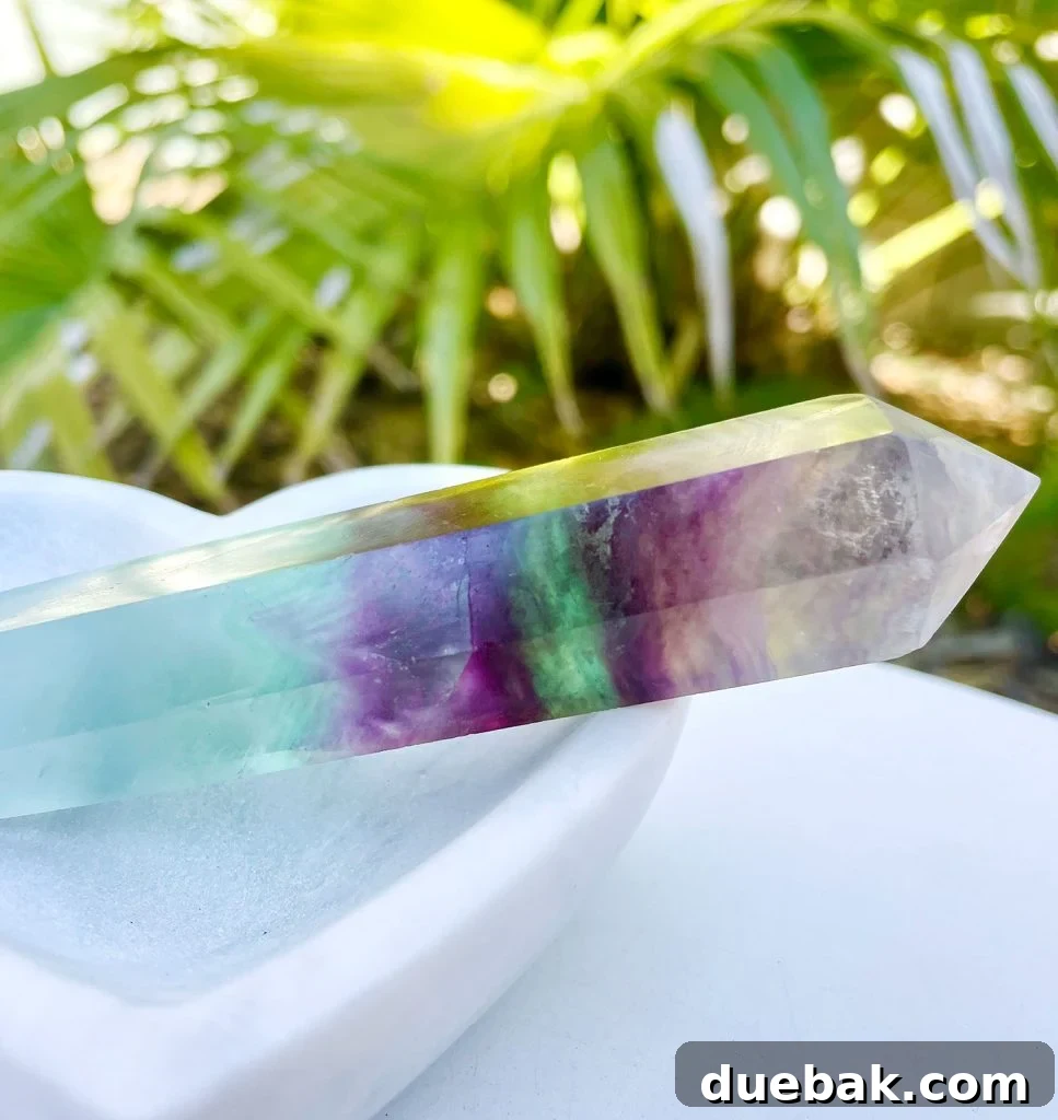 Rainbow Fluorite: Unlocking Its Energy and Purpose 5 Rainbow Fluorite Crystal In Stone Dish With Plant In Background, displaying its natural beauty in a serene setting.