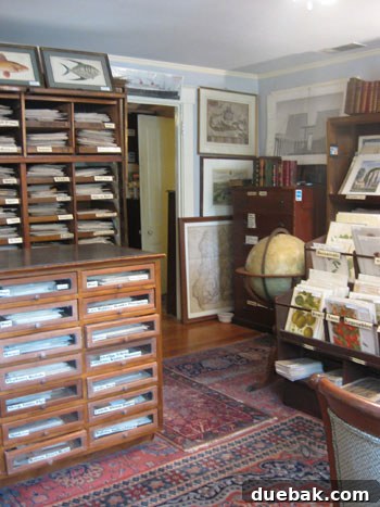 V & J Duncan: Discovering Antique Maps & Prints in Savannah Interior of V & J Duncan, an antique shop in Savannah with old maps and prints