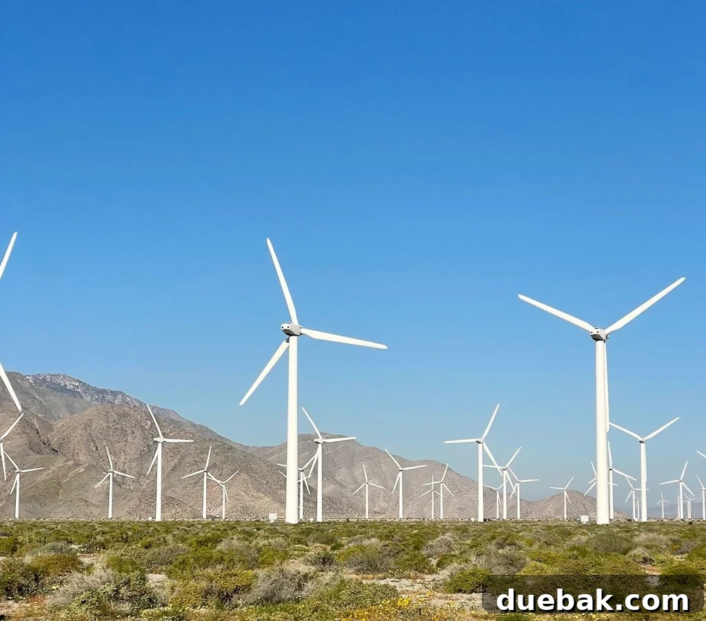 Windmills Outside Palm Springs California - Renewable Energy and Education