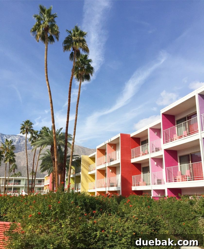 The Saguaro Hotel in Palm Springs - Iconic and Colorful Accommodation Option