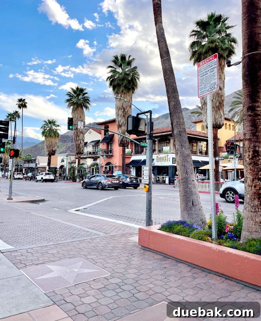 Downtown Palm Springs Shopping District At Sunset - A Lively Evening