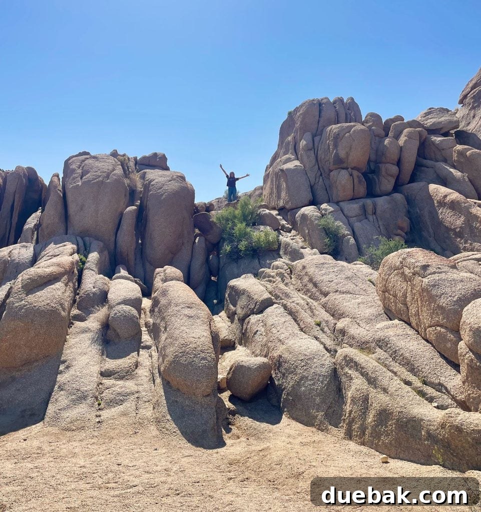 Girl Atop Climbed Rocks in Joshua Tree National Park - Family Adventure