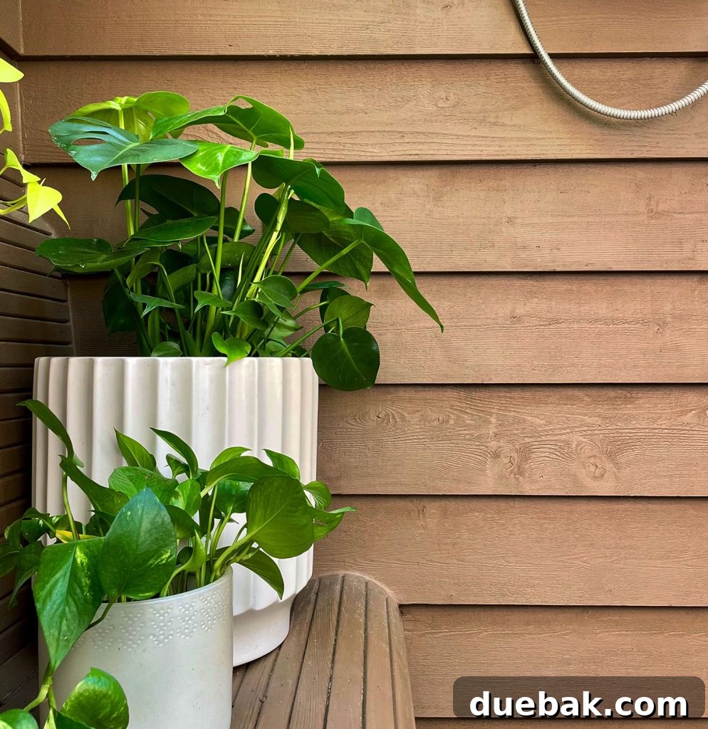 Elevating Your Outdoor Shower with Solid Stain 15 img 113984 14