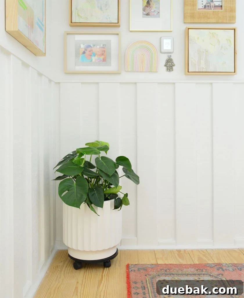 Monstera Deliciosa: The Ultimate Care Guide 5 A stunning Monstera deliciosa plant gracing a hallway, complemented by elegant white wainscoting and tastefully arranged picture frames.