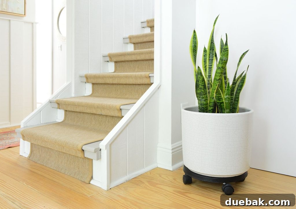 A tall potted snake plant gracefully positioned near a modern staircase with a sisal runner, enhancing the home's natural aesthetic.
