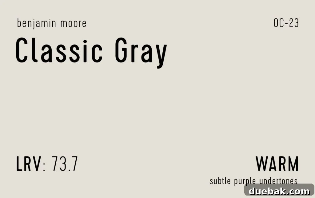 Benjamin Moore Classic Gray Information Swatch - A pale, sophisticated greige for airy spaces.