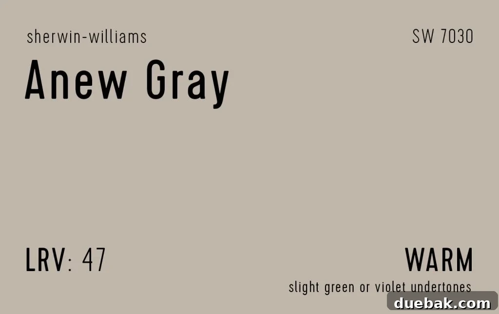 Sherwin-Williams Anew Gray Information Swatch - A deeper, cozy greige with rich character.
