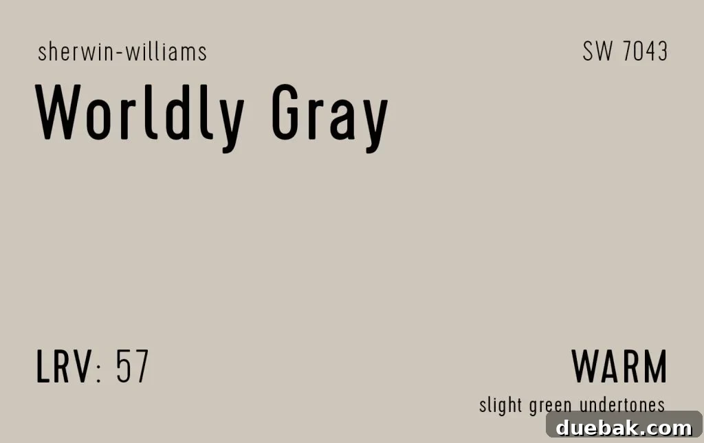 Sherwin-Williams Worldly Gray Information Swatch - A sophisticated and slightly cooler greige.