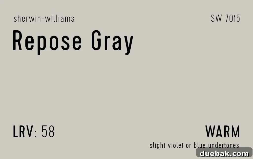 Sherwin-Williams Repose Gray Information Swatch - A popular, cooler greige with a peaceful aura.