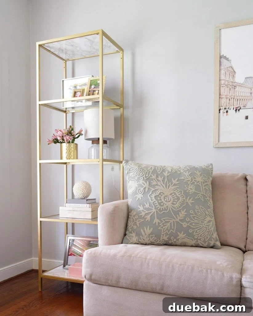Living Room With Repose Gray Walls And Gold Ikea Shelf - A modern and versatile space.