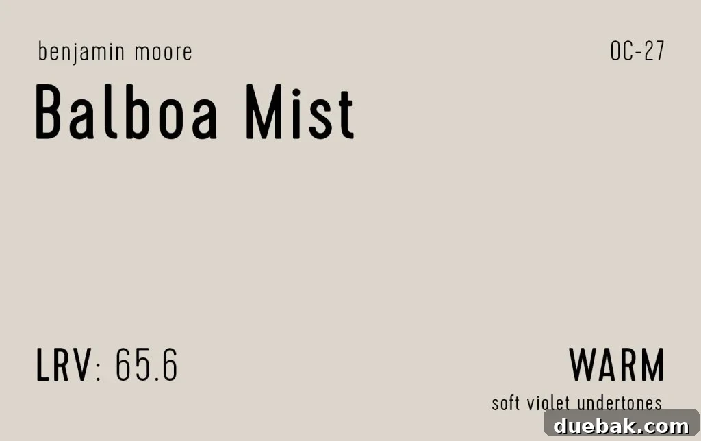 Benjamin Moore Balboa Mist Information Swatch - A soft, airy greige with a hint of coolness.