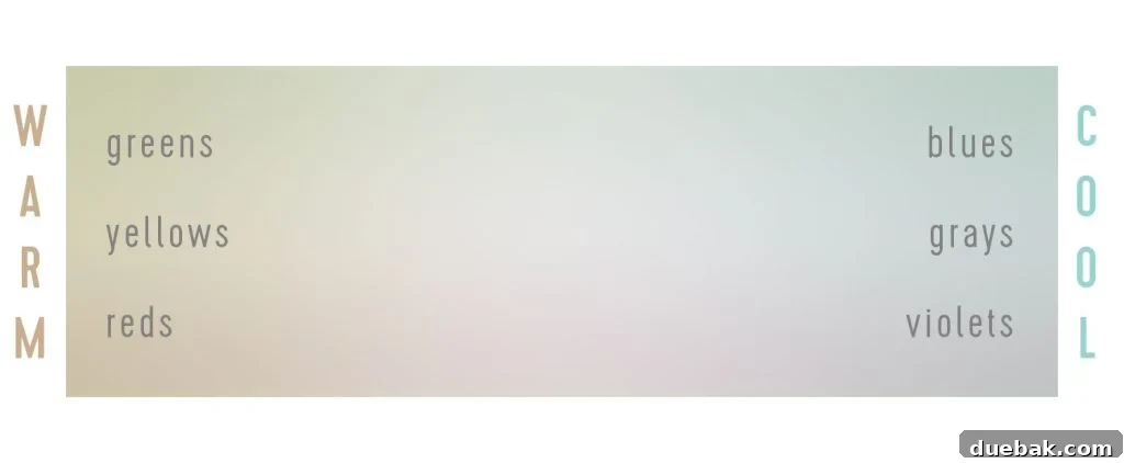 Undertone Gradient From Warm To Cool Grays - Visualizing subtle color shifts.
