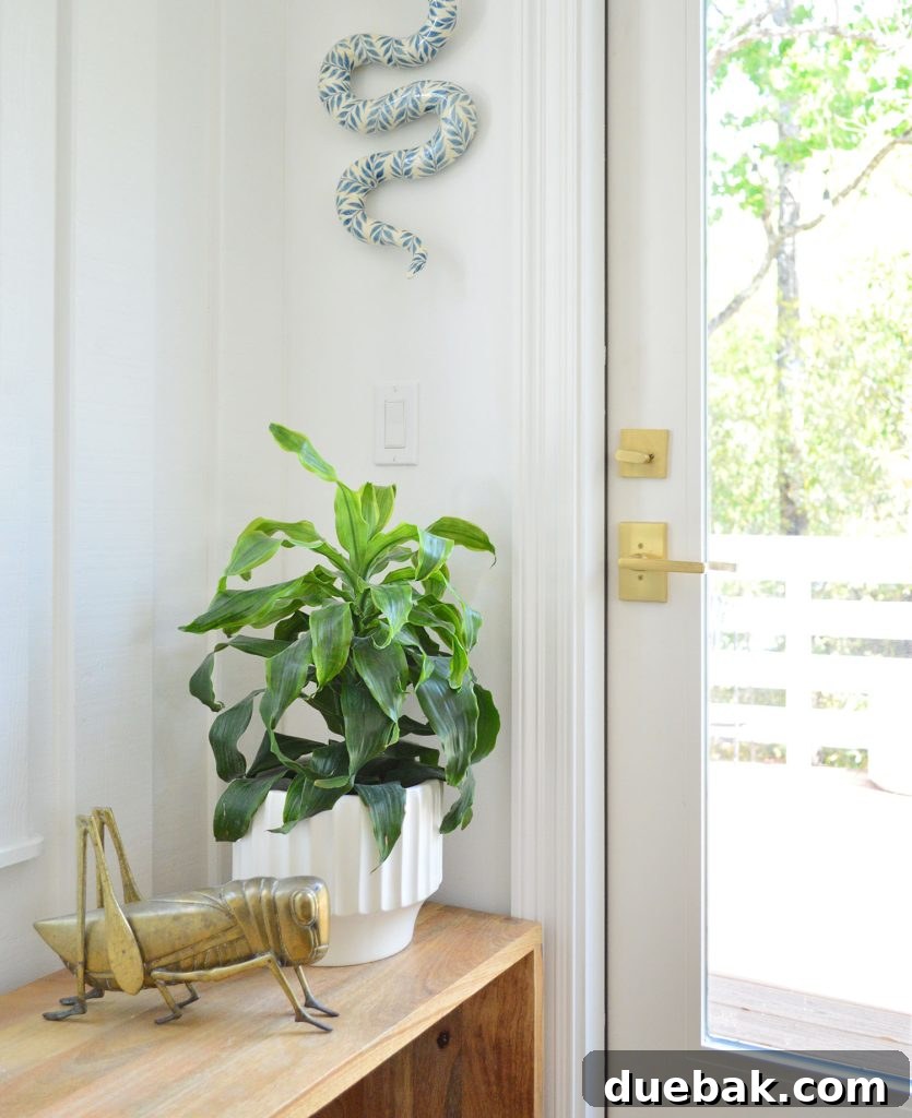 Your Guide to Growing Healthy Corn Plants 7 Potted corn plant on a wooden bench next to a door, receiving indirect light