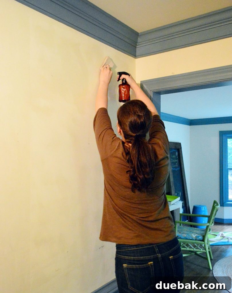 Sherry spraying sections of wall to remove wallpaper glue