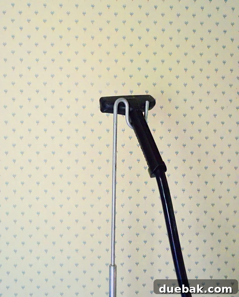 Traditional Wallpaper With Steamer Hose