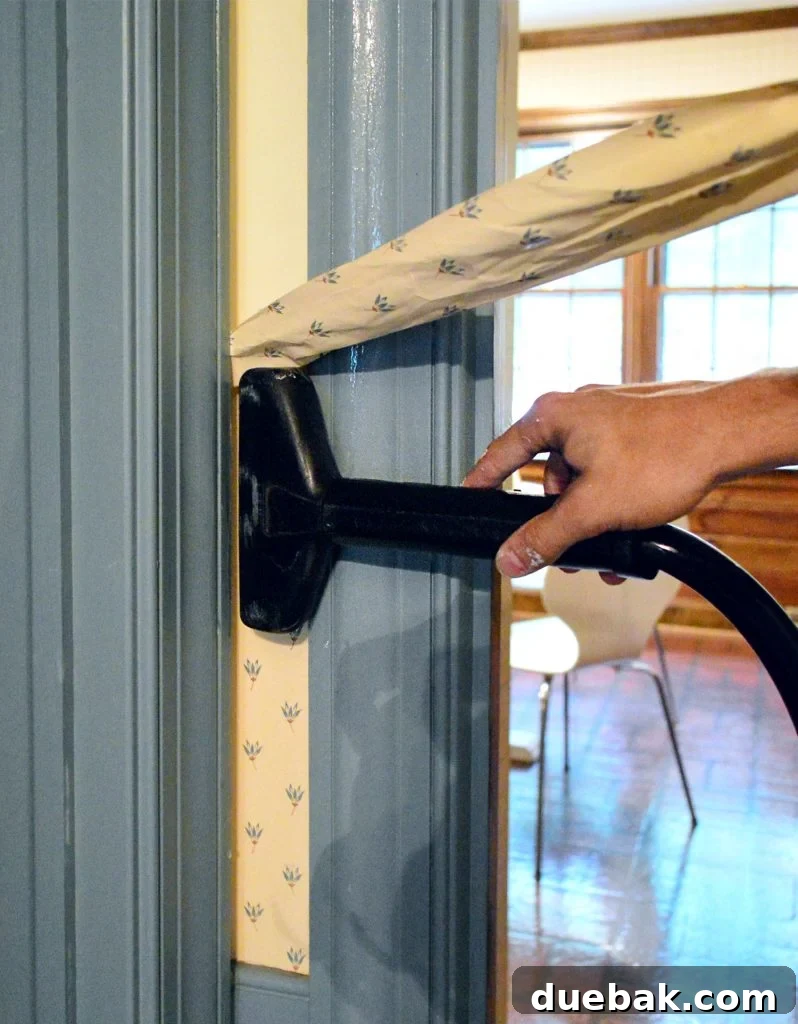 Close Up Of Steamer Against Wallpaper