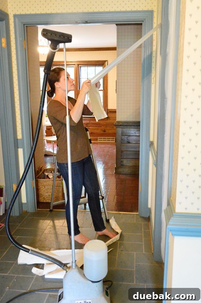 Sherry Pulling Strips Of Wallpaper Off That Have Been Steamed