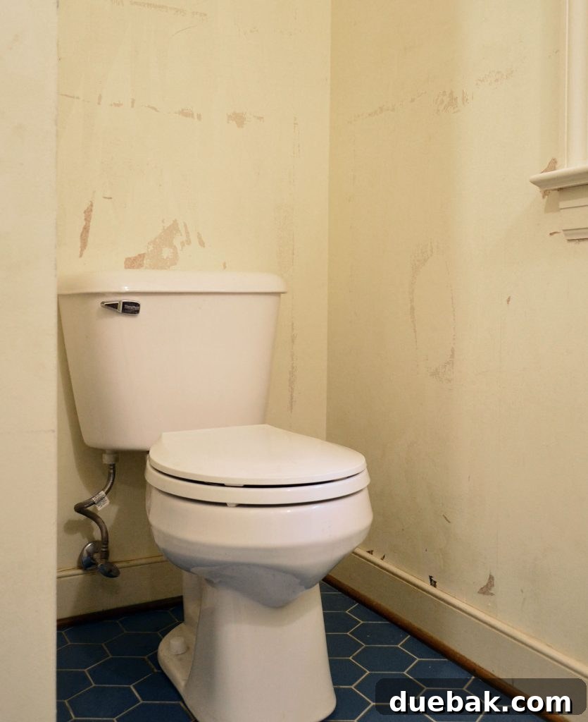 Wall Damage Around Toilet After Removing Wallpaper