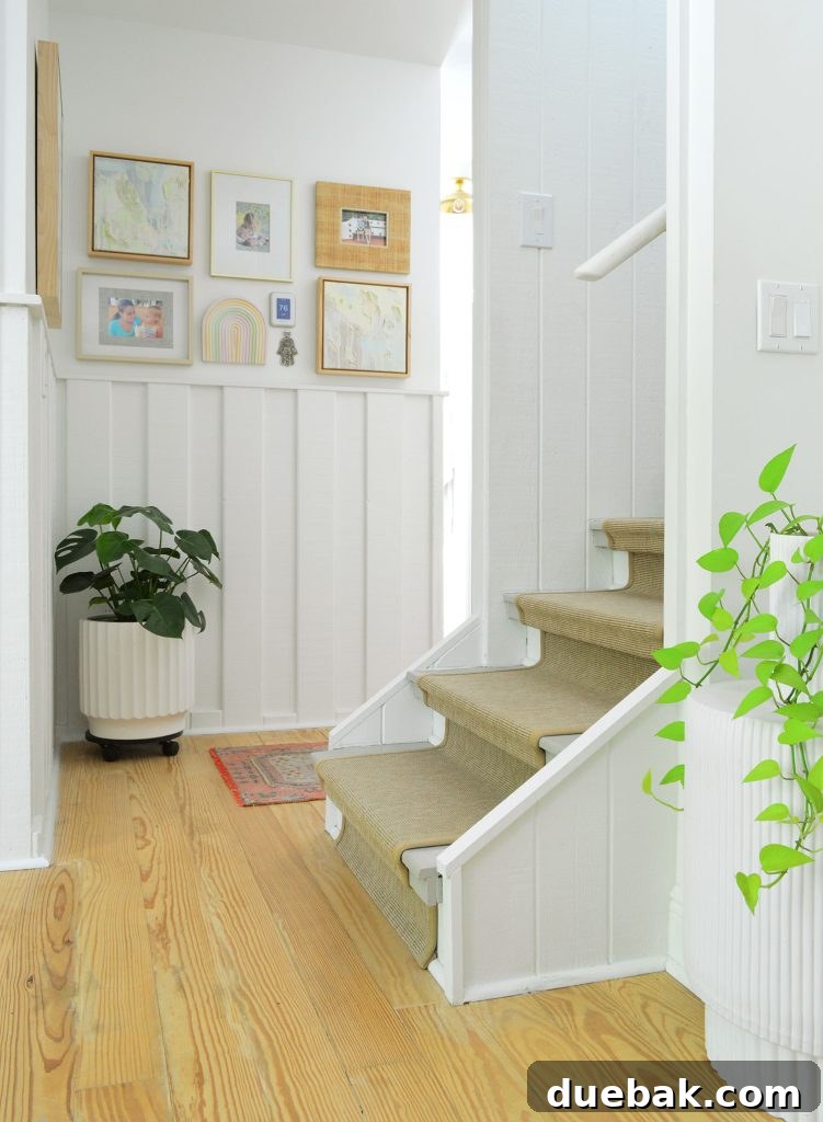 A vibrant Monstera and a lush Pothos plant thriving in a hallway with limited natural light, showcasing their ability to adapt and beautify dim spaces.
