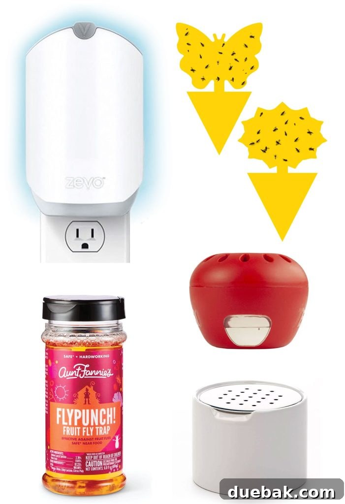 Elinizdeki Malzemelerle Meyve Sineklerine Son 12 Collage of Storebought Fruit Fly Traps