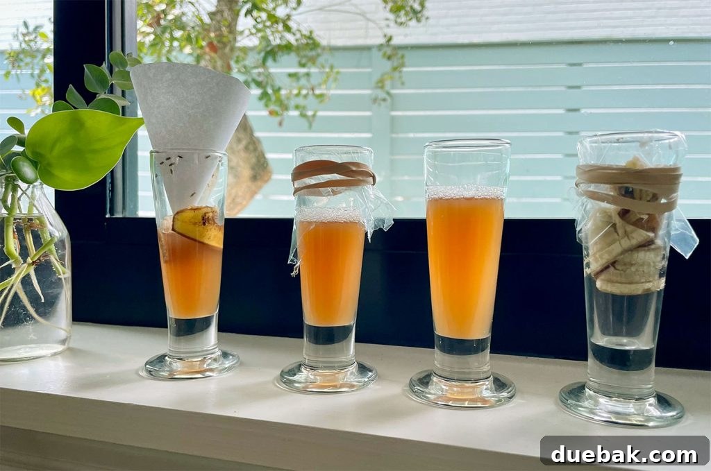 Elinizdeki Malzemelerle Meyve Sineklerine Son 4 4 DIY Fruit Fly Traps Tested On Windowsill