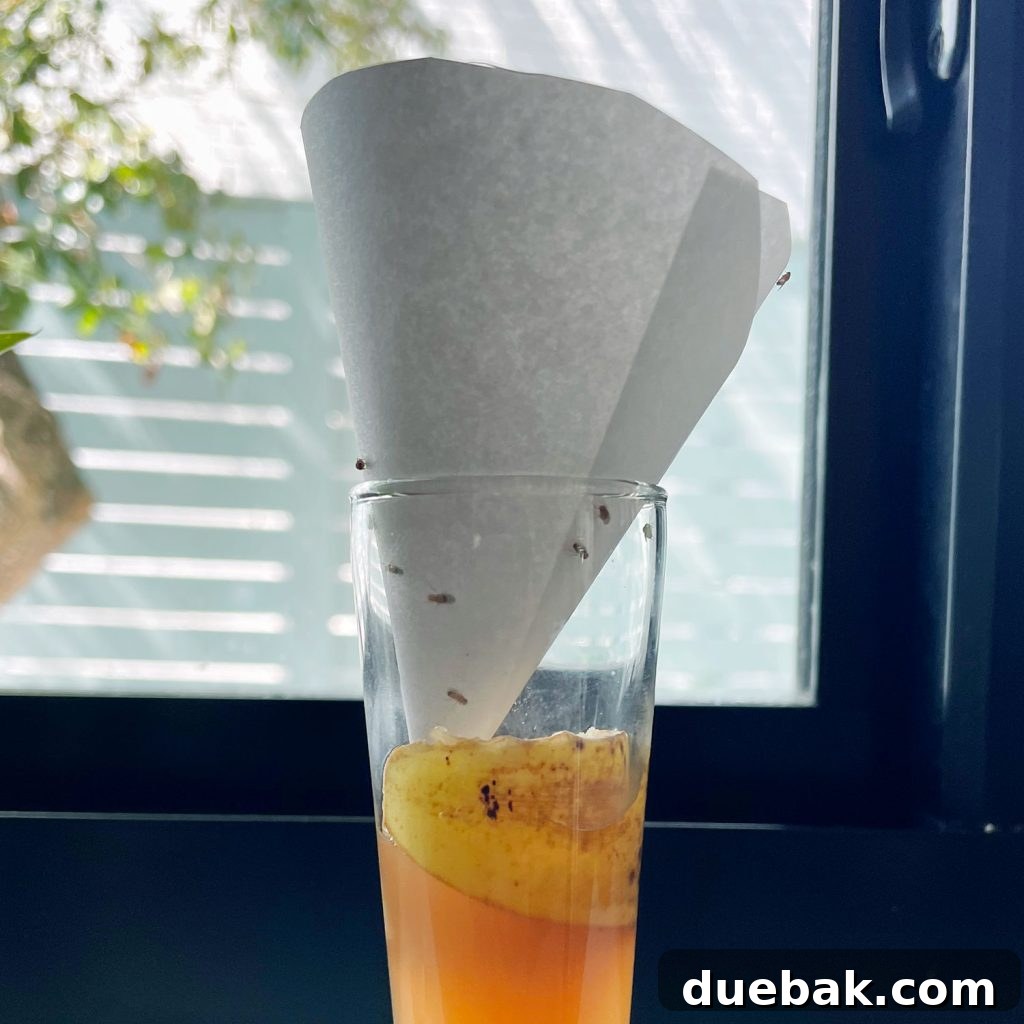 Elinizdeki Malzemelerle Meyve Sineklerine Son 8 DIY Fruit Fly Trap With Paper Funnel
