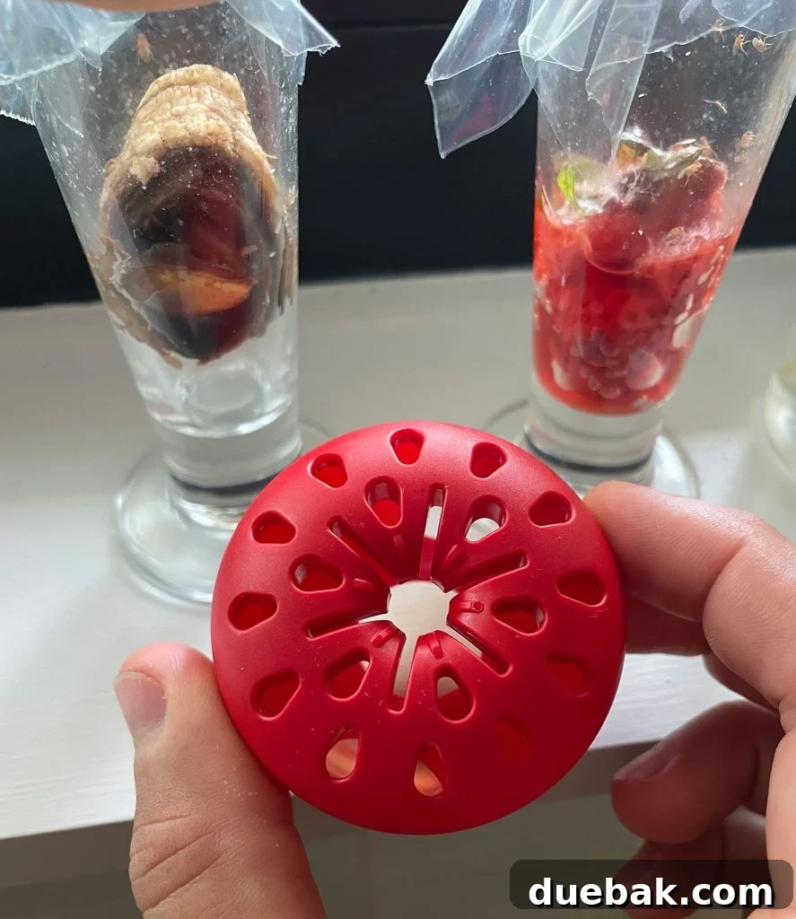 Elinizdeki Malzemelerle Meyve Sineklerine Son 10 Terro Fruit Fly Apple Trap With No Fruit Flies In It