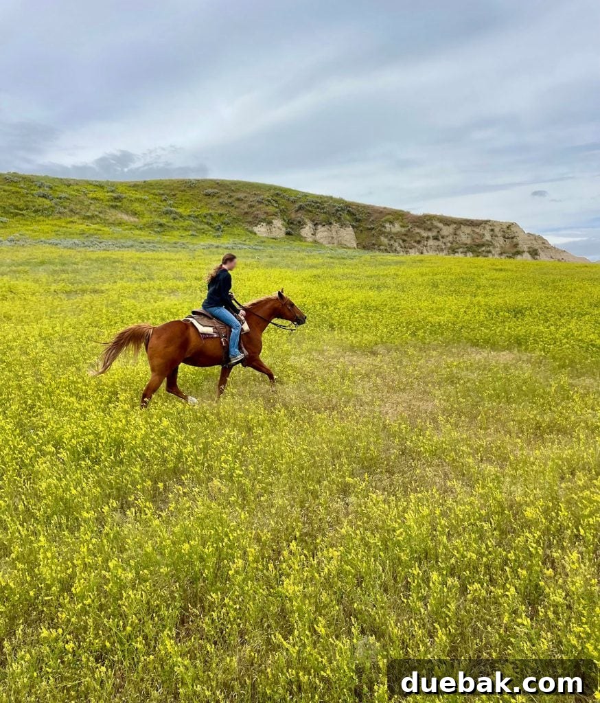 South Dakota Summer Odyssey 13 Girl On Horseback In Field Of Yellow Wildflowers In South Dakota