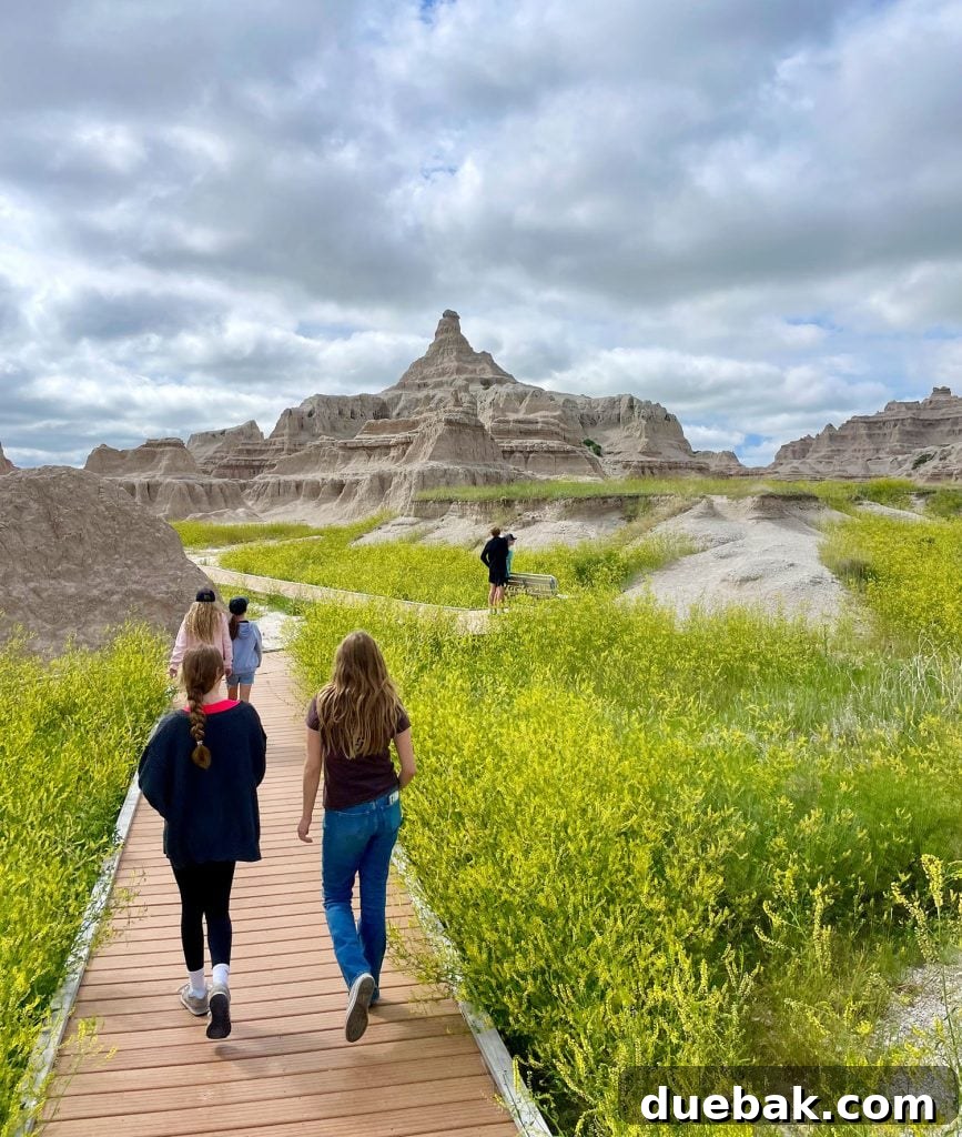 South Dakota Summer Odyssey 14 Kids Walking On Boardwalk Hike In Badlands National Park South Dakota