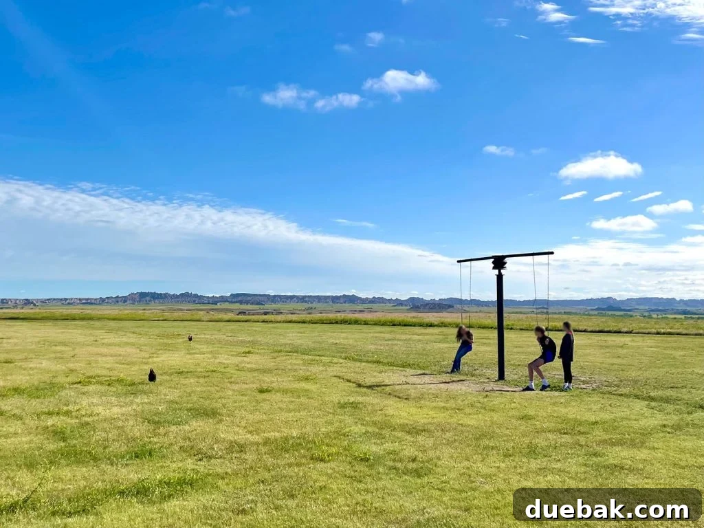 South Dakota Summer Odyssey 10 Kids Playing On Swing At Ranch Badlands National Park South Dakota