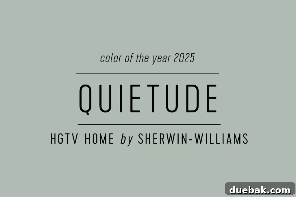 Your Ultimate Guide to 2025 Colors of the Year 13 HGTV Home by Sherwin Williams 2025 Color of the Year Quietude
