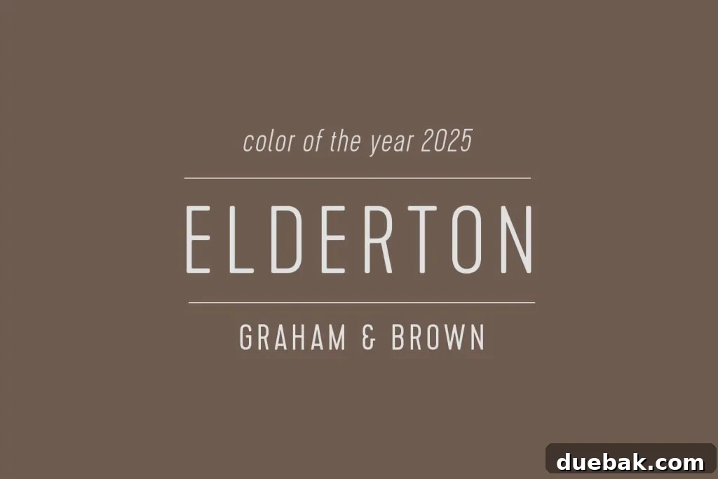 Your Ultimate Guide to 2025 Colors of the Year 25 Swatch of Elderton Graham & Brown Color Of The Year 2025