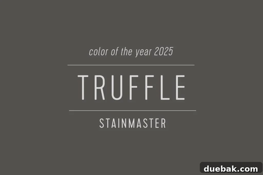 Your Ultimate Guide to 2025 Colors of the Year 27 Stainmaster Paint Color of the Year 2025 Truffle