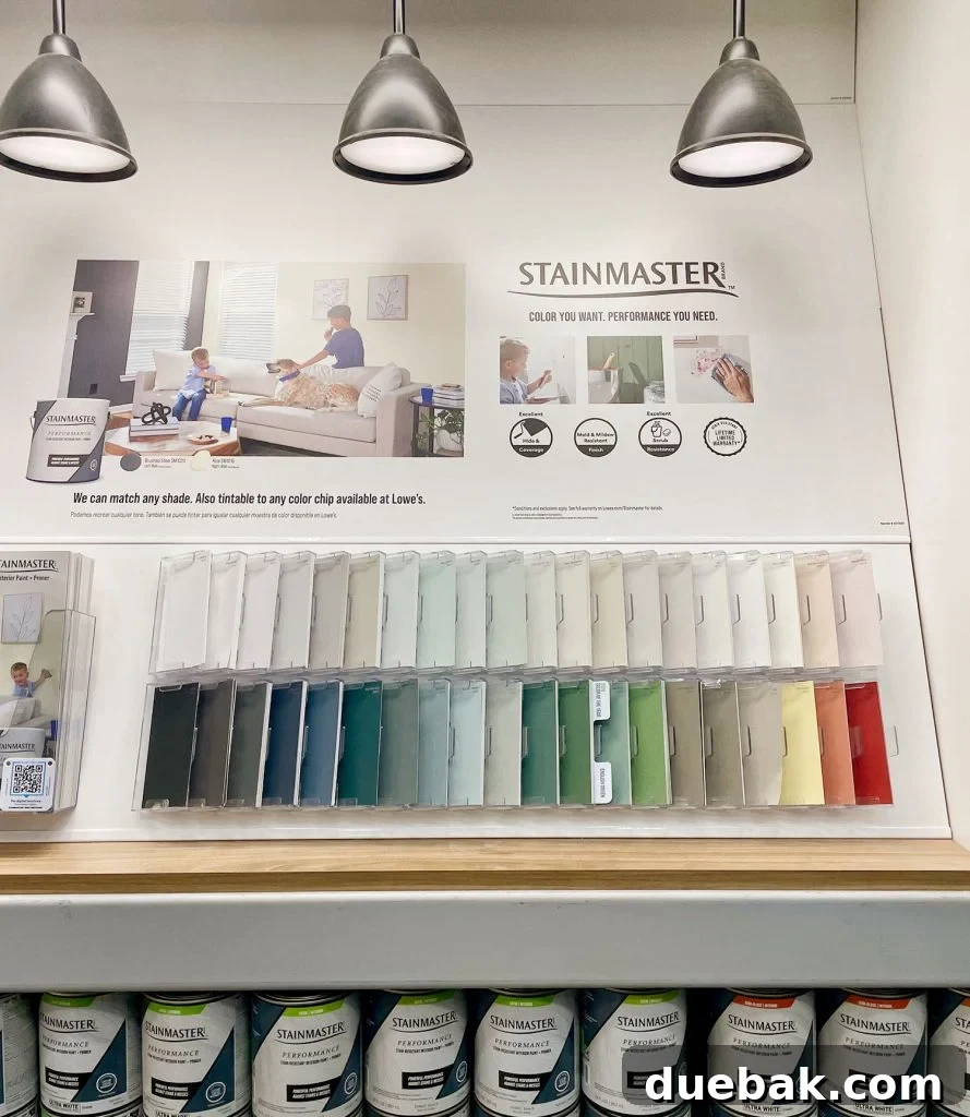 Your Ultimate Guide to 2025 Colors of the Year 28 Stainmaster Paint Display