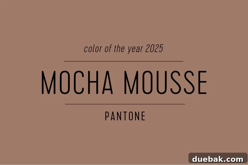 Your Ultimate Guide to 2025 Colors of the Year 5 Pantone Color of the Year 2025 Mocha Mousse Large Swatch