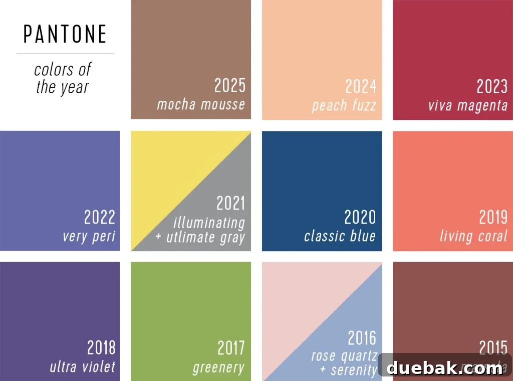 Your Ultimate Guide to 2025 Colors of the Year 6 Pantone Colors of the Year 2025 Over The Years