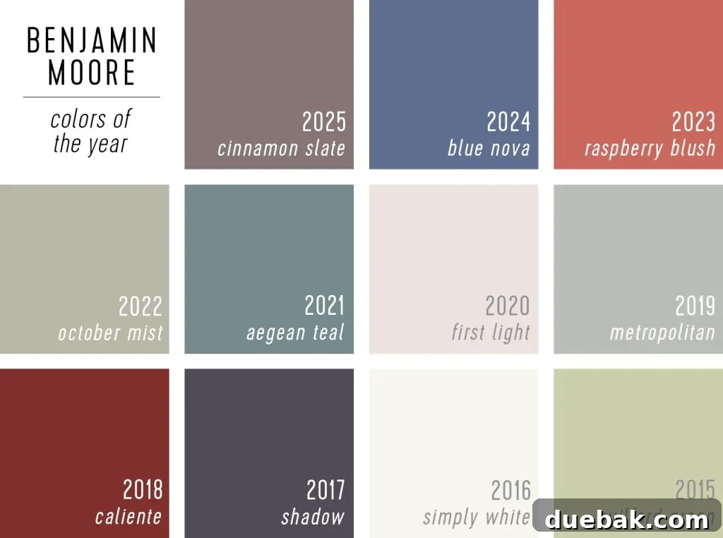 Your Ultimate Guide to 2025 Colors of the Year 8 Swatches of Benjamin Moore Color of the Year Selections 2025