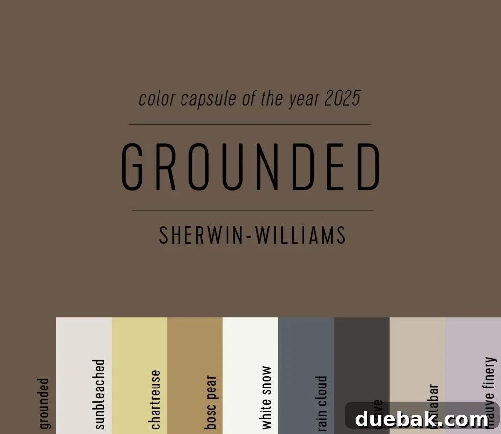 Your Ultimate Guide to 2025 Colors of the Year 9 Sherwin Williams Paint Color Capsule of the Year 2025 Grounded