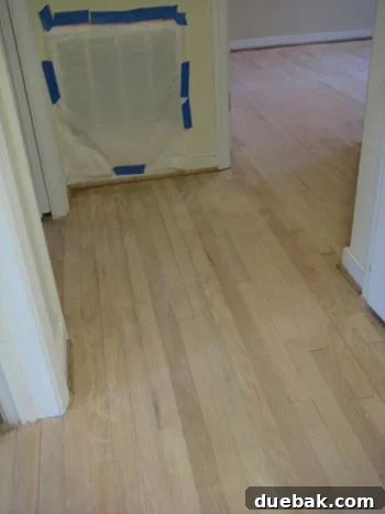 diy-hardwood-floor-refinishing-moch-stain1