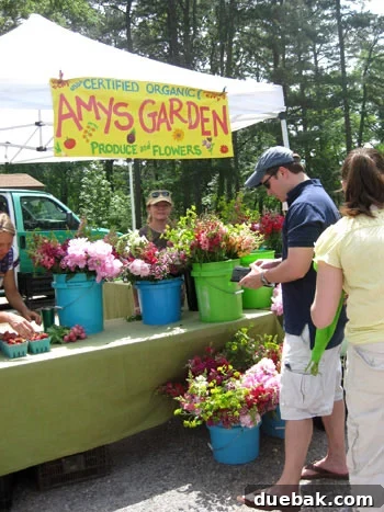Colorful buckets of fresh flowers at the farmer's market