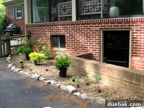 Laying out new plants for garden planning