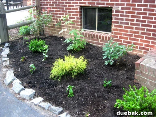 View of the newly planted edible garden