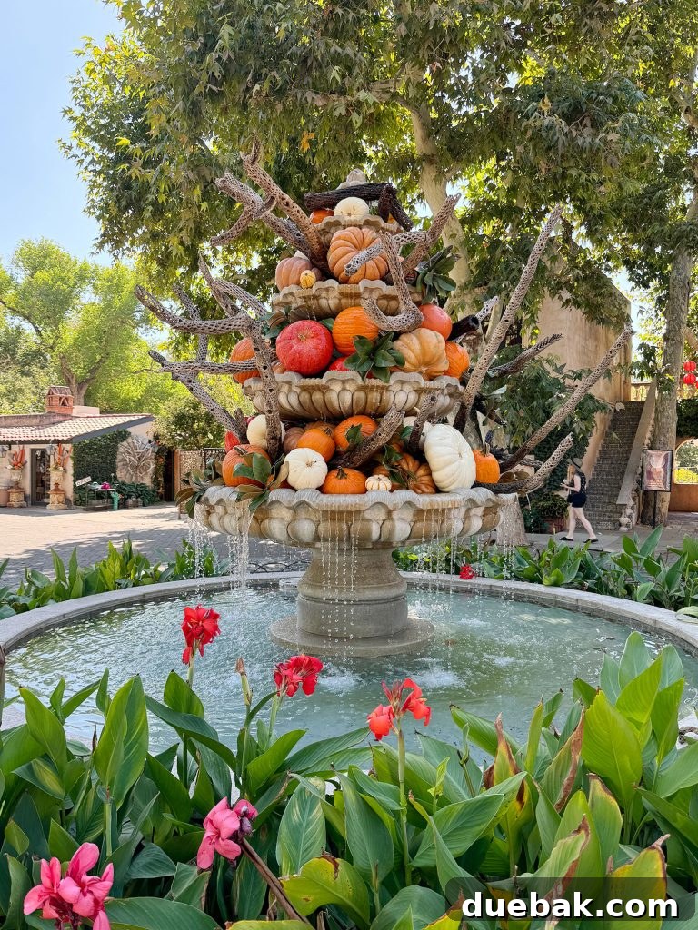 Sedona Sisterhood Sojourn 24 Fall Pumpkin Display On Fountain In Sedona Arizona
