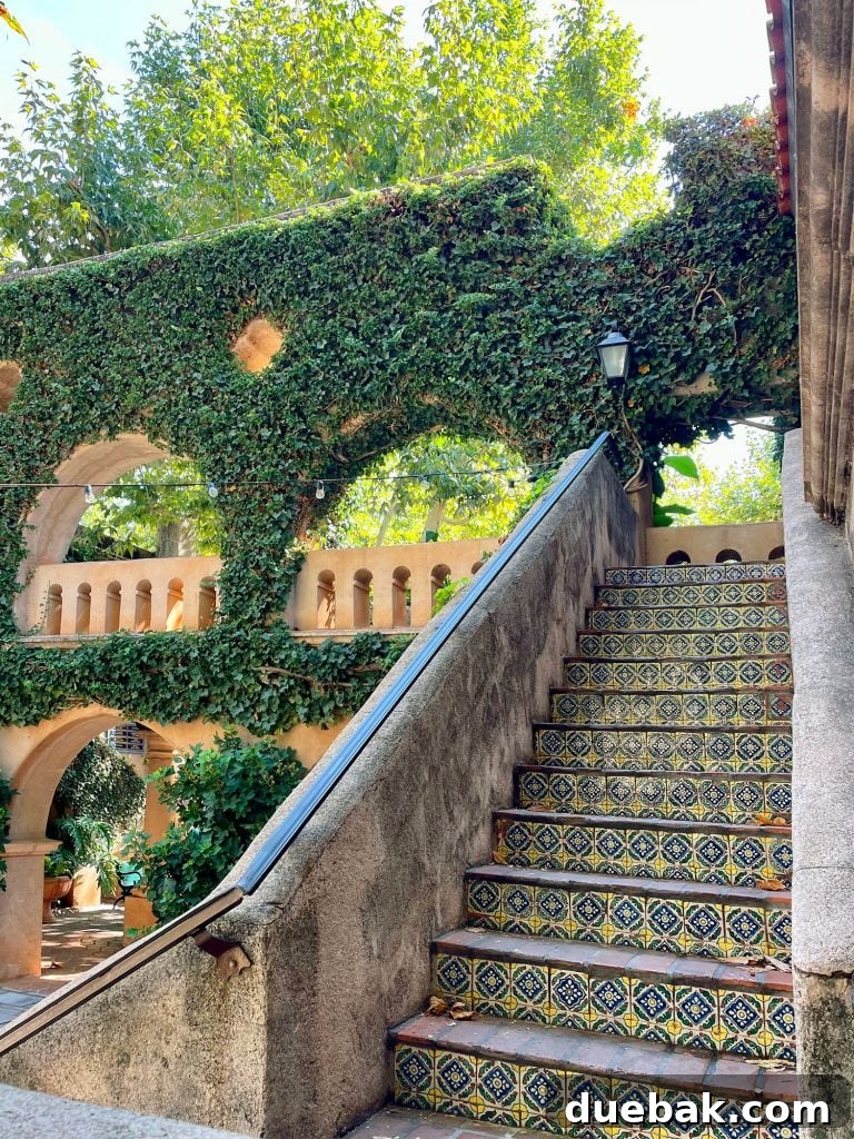 Sedona Sisterhood Sojourn 25 Beautiful Ivy Covered Stairs In Sedona Arizona